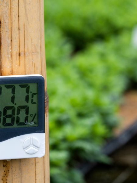 alta umidade do ar acarreta algum problema de saúde​