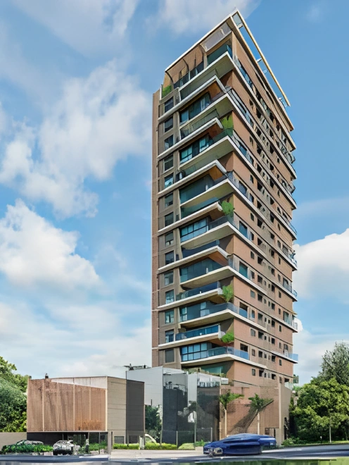 Figueira Cambuí